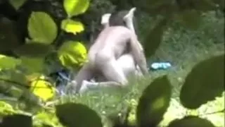 Voyeuring horny couple in Public Park