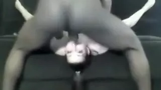 Cam still another Heavy Black Cock