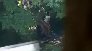 Pair found making love from the street