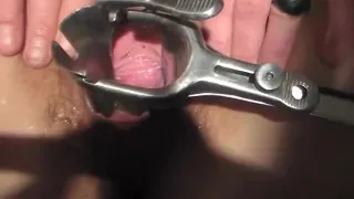 Tobys Blowjob close up
