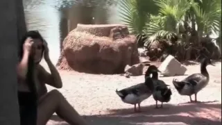 Ftv Ftvgirls Ftv Girls At Ftvparadise Dot Com