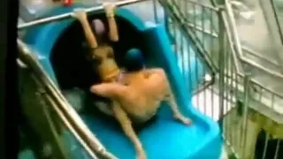 Horny exclusive asian, reverse cowgirl, teen adult movie