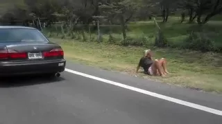 Incredible private american, funny, walmart sex clip