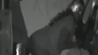 Hottest homemade forest, condom, dogging sex clip