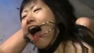Super hot Japanese babes doing weird sex
