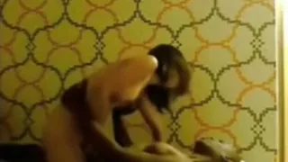 Exotic exclusive chubby, ebony, girlfriend sex scene