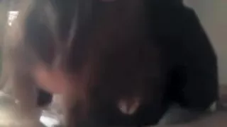 Amateur mature MILF giving a blowjob to a horny guy