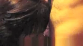 Black girl with big boobs has romantic sex