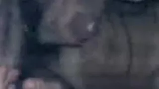 FAI PIANO AMORE che se no SBORRO !!!