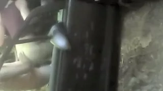 Prostituta e cliente filmati di nascosto dal guardone