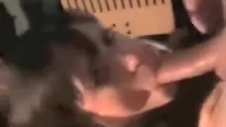 Giving the wife a hard face fucking and shooting cum in her mouth