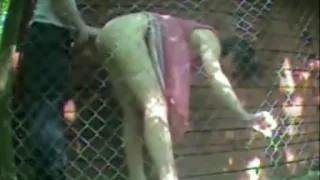 broad gets hammered public