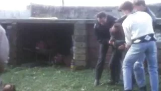 Gli Amori Morbosi di Ilona Staller