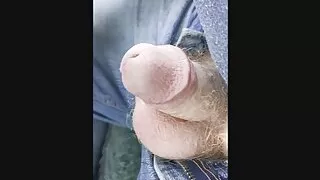 Dick play while driving on a sunny day.