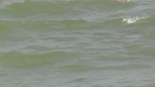 Hot German blonde rubbing her moist pussy on the beach