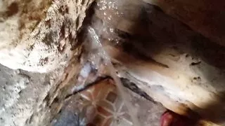 Bathroom karte hue Jab step syster Ne Dekha To usne land se jodte khincha aur Munh Mein Dal Diya