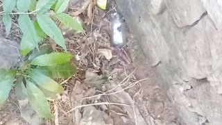 Dirty big cock doing bathroom in public