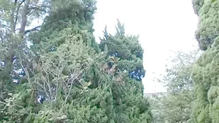 Smoking office slut gets her pussy pummelled