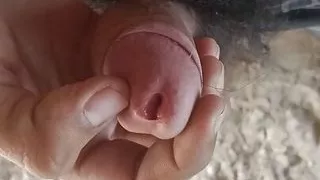 Analno, Azijke, Velik Kurac, črni, Fafanje, Sperma