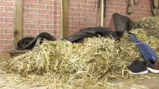 3681 - Sexy Susy Ihre perversen Escort Girls 02 - Episode 2