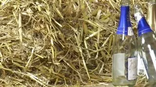 Penner Gluck (Full Movie)