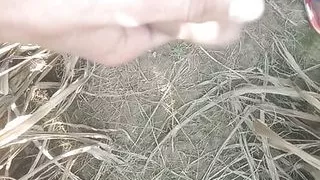 Asian gay fucking big ass gaand