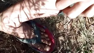 Come short complication tribute to Shreya