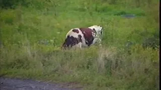 Sudden Big Love in Me - Episode 5