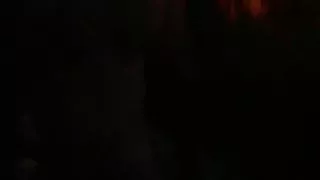 i like to walk naked along the road