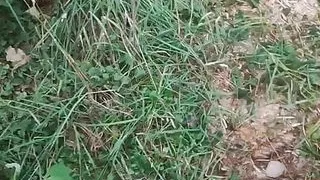 PUBLIC URINATION compilation