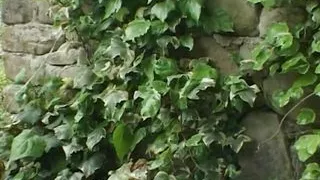 Anal Real Orgasm!!! - Scena 01