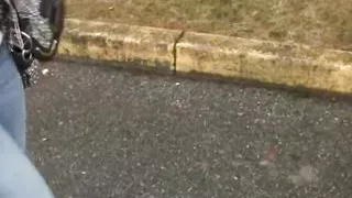 Amateur slut getting doggystyled