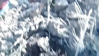 New funny cartoon sex masturbating Pakistan India America England Thailand Japan