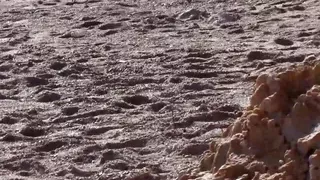 Amateur fuck date on the beach! Anal fuck!