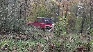 This is No Picnic in the Woods