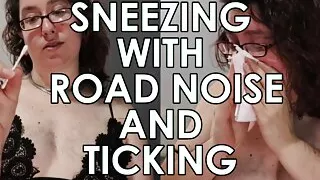 STERLING SILVERTHORNE - Sneezing With Road Noise And Ticking - PREVIEW