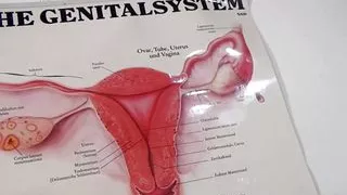 Schlampen zum Ficken - Episode 1