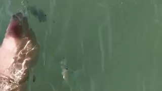 Resort holidays with sun, sea and lots of sex