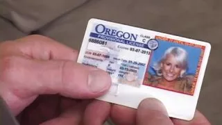 Big Sexy Sluts in Heat Vol.2 - Episode 1