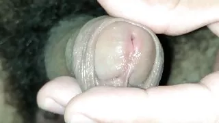 Magst du meinen haarigen, jungfräulichen Schwanz?