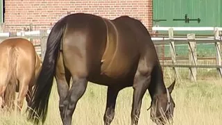 junge naturvebundenes teen mastubiert gerne im freien