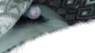 Solo white bhabhi smartphone