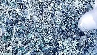 Porn in the City of London