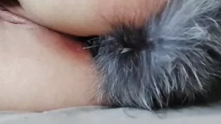 The winding tail in Poller's ass