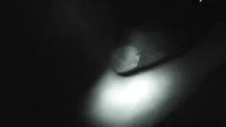 Destiny Buck close up Blowjob in car