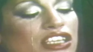 REAL BOOGIE NIGHTS - (Restyling Movie in Full HD Version)