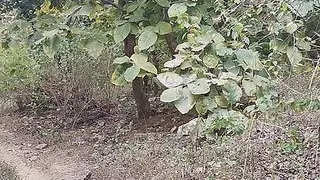 Huge cumshot in forest big dick