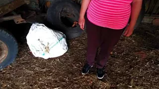 Tit Training Day 14 - Part 1