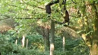 Il Posto della Sborra 2 - Episode 1