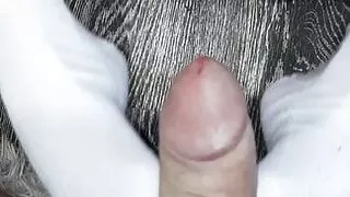 She jerked off her legs and he finished on them